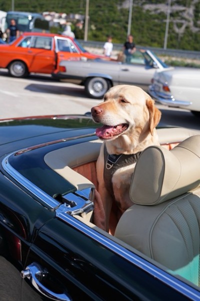 Srednja stavka VSPVIDEO180426 (87).jpeg